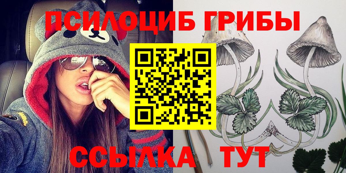 Псилоцибиновые грибы Psilocybine cubensis Добрянка